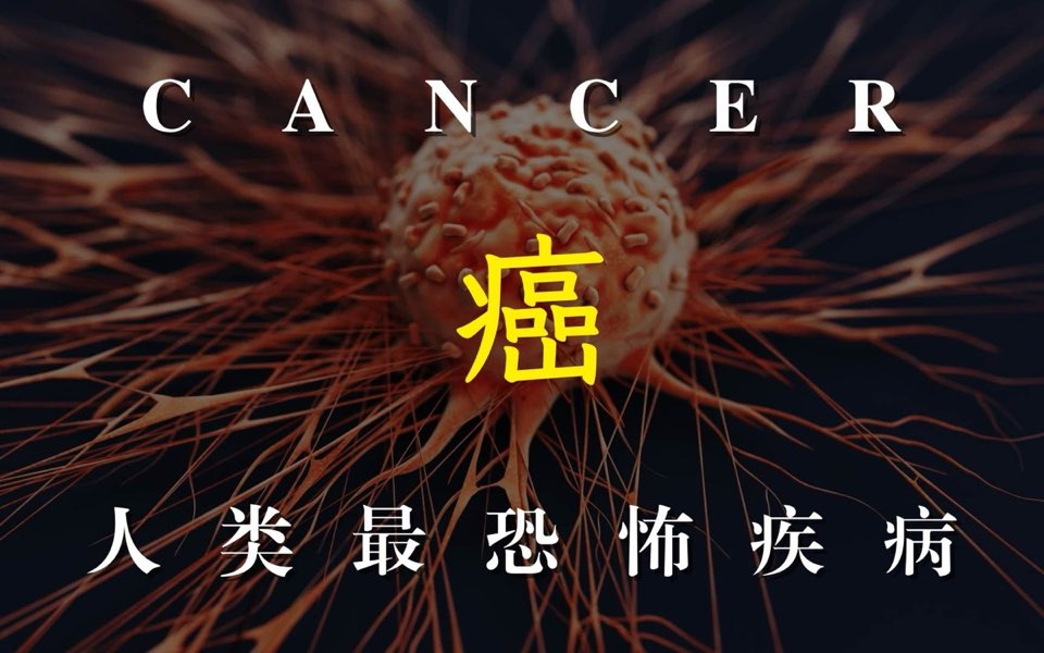 人类最恐怖疾病史视频封面